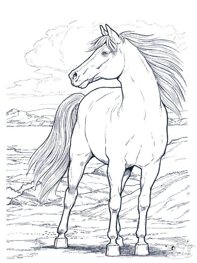 Best ideas about Free Coloring Pages Horses
. Save or Pin Free Printable Horse Coloring Pages For Kids Now.