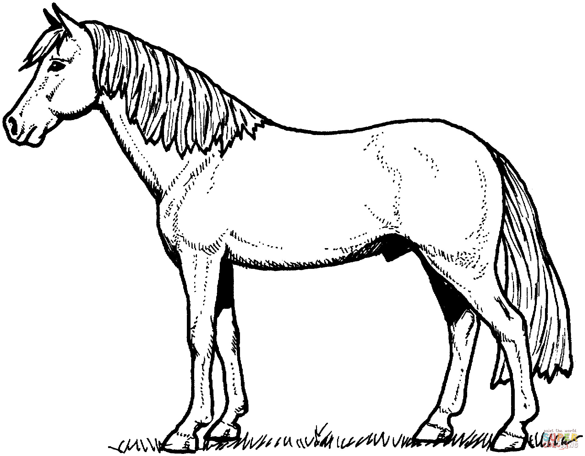 Best ideas about Free Coloring Pages Horses
. Save or Pin Horse Coloring Pages Bestofcoloring Now.