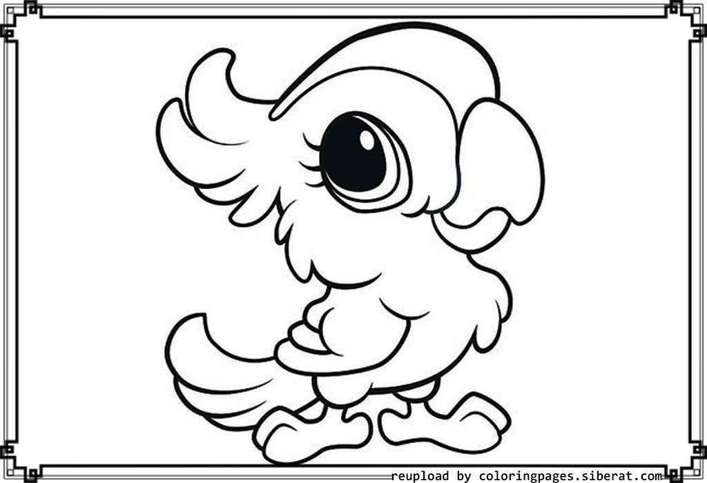 Free Coloring Pages Of Cute Animals
 Free Coloring Pages Cute Baby Animals 305