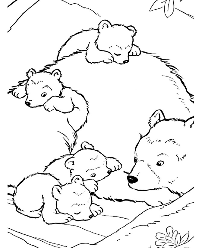 Free Coloring Pages Of Polar Bears
 Free Printable Bear Coloring Pages For Kids