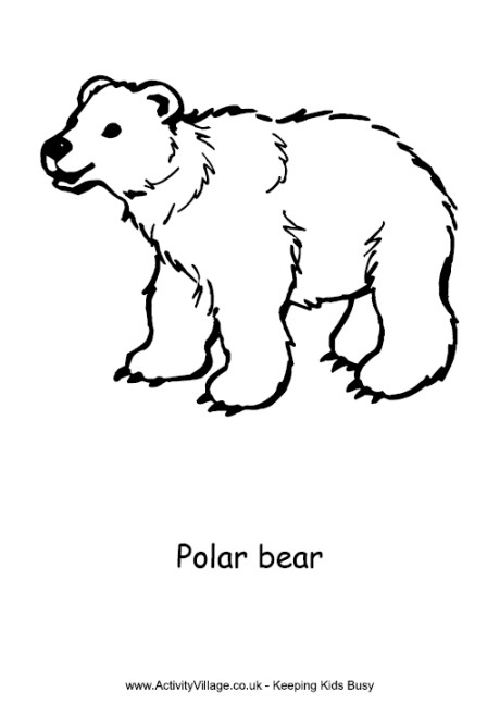 Free Coloring Pages Of Polar Bears
 Polar Bear Colouring Page