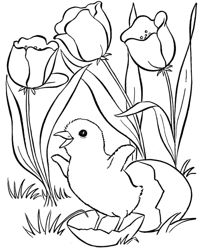 Free Coloring Pages Spring Time
 Spring Coloring Pages Best Coloring Pages For Kids