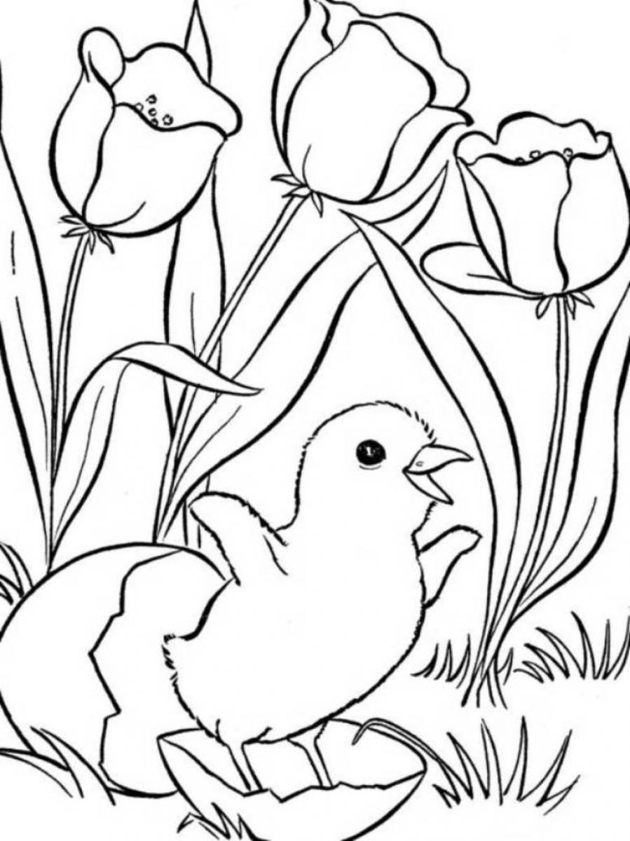 Free Coloring Pages Spring Time
 spring coloring pages