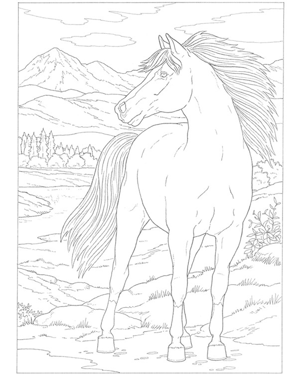 Free Coloring Pages Wild Horses
 Wild Horse Coloring Pages To Print