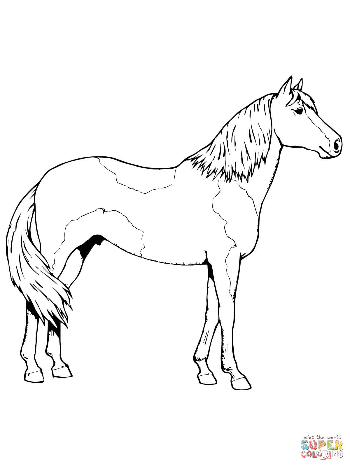 Free Coloring Pages Wild Horses
 Wild Horse Coloring Pages Mustang grig3
