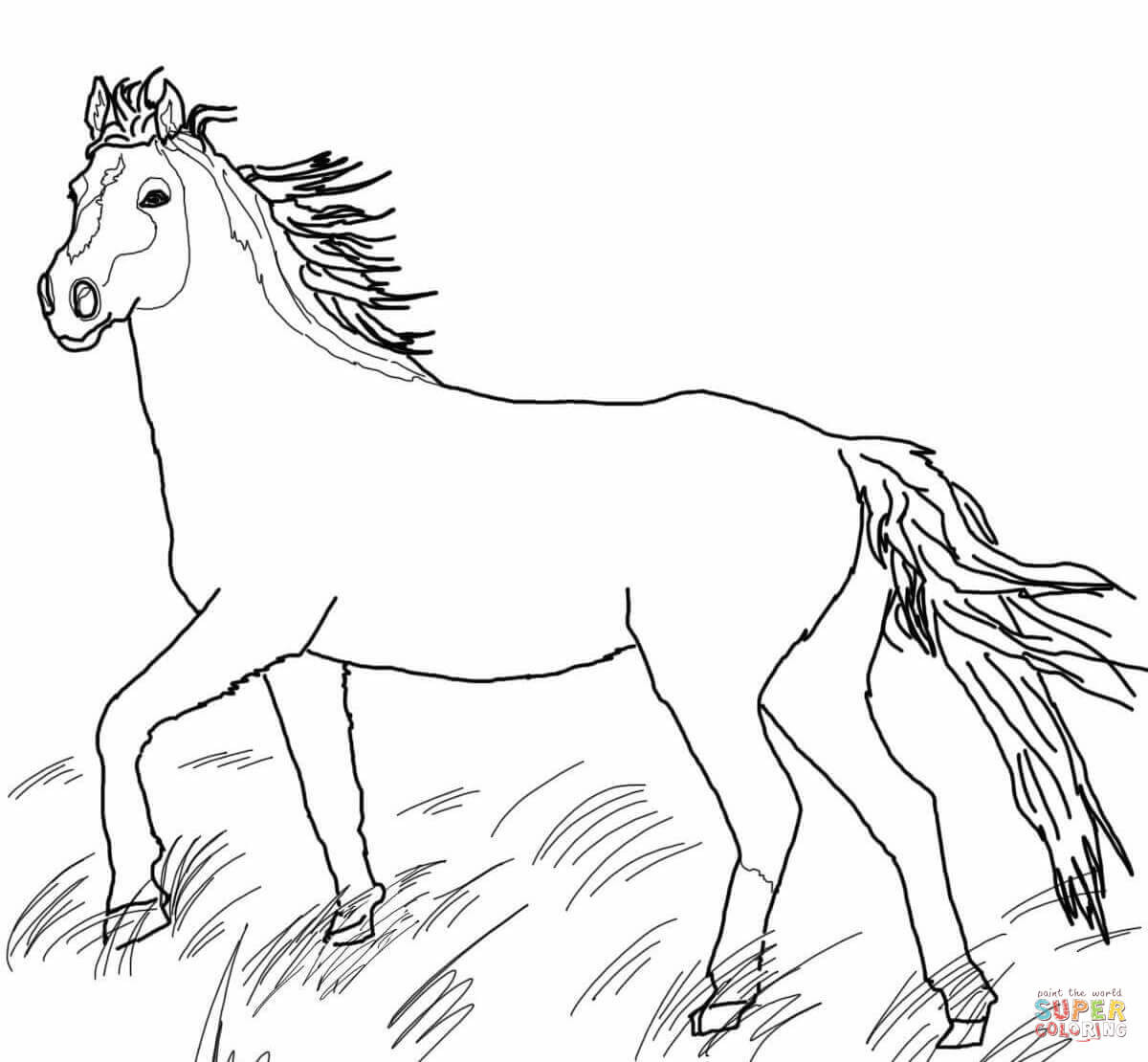 Free Coloring Pages Wild Horses
 Mustang Wild Horse coloring page