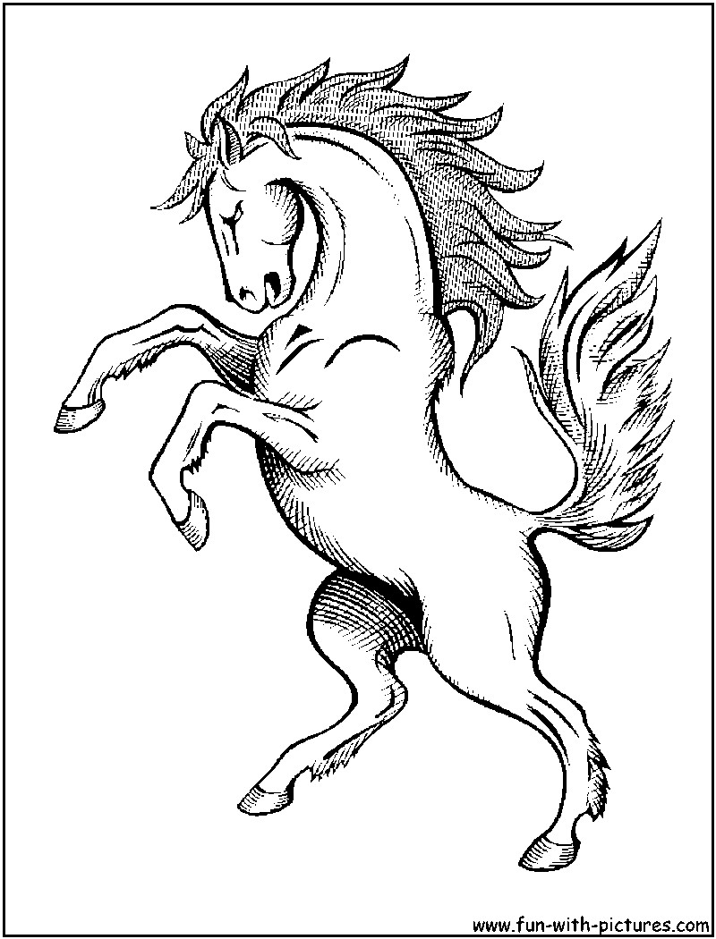 Free Coloring Pages Wild Horses
 Wild Horse Coloring Page
