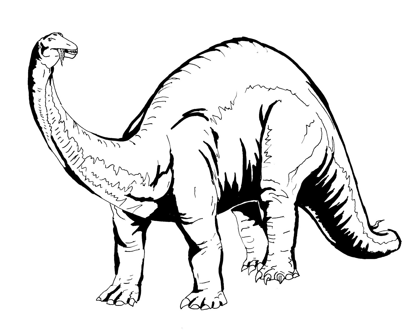 Free Coloring Sheets Dinosaurs
 Free Printable Dinosaur Coloring Pages For Kids