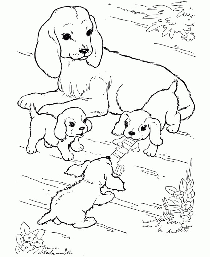 Free Coloring Sheets Dogs
 Free Printable Dog Coloring Pages For Kids