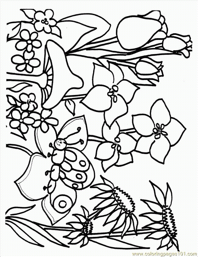 Best ideas about Free Coloring Sheets For Spring
. Save or Pin Spring Coloring Pages Free Printable Coloring Home Now.
