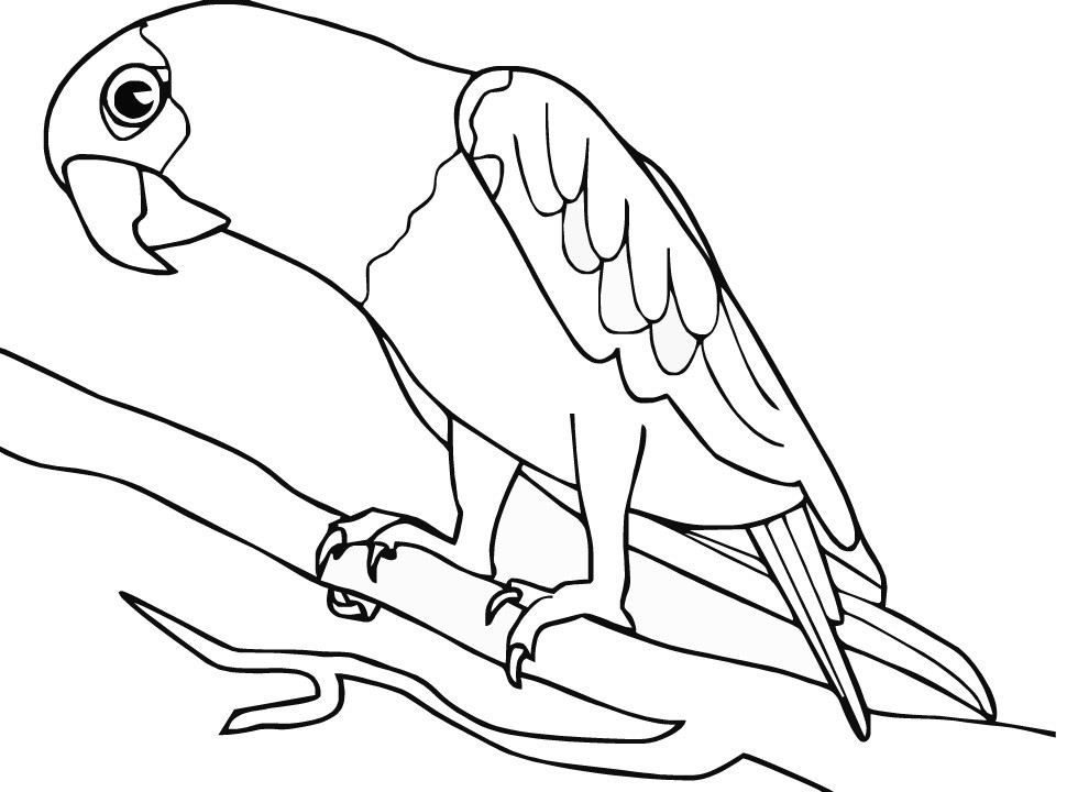 Free Coloring Sheets Of Birds
 Bird Coloring Pages For Kids