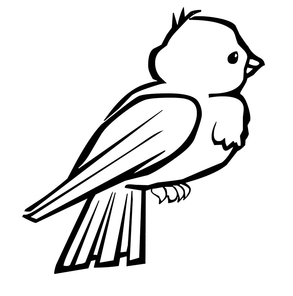 Free Coloring Sheets Of Birds
 bird 6