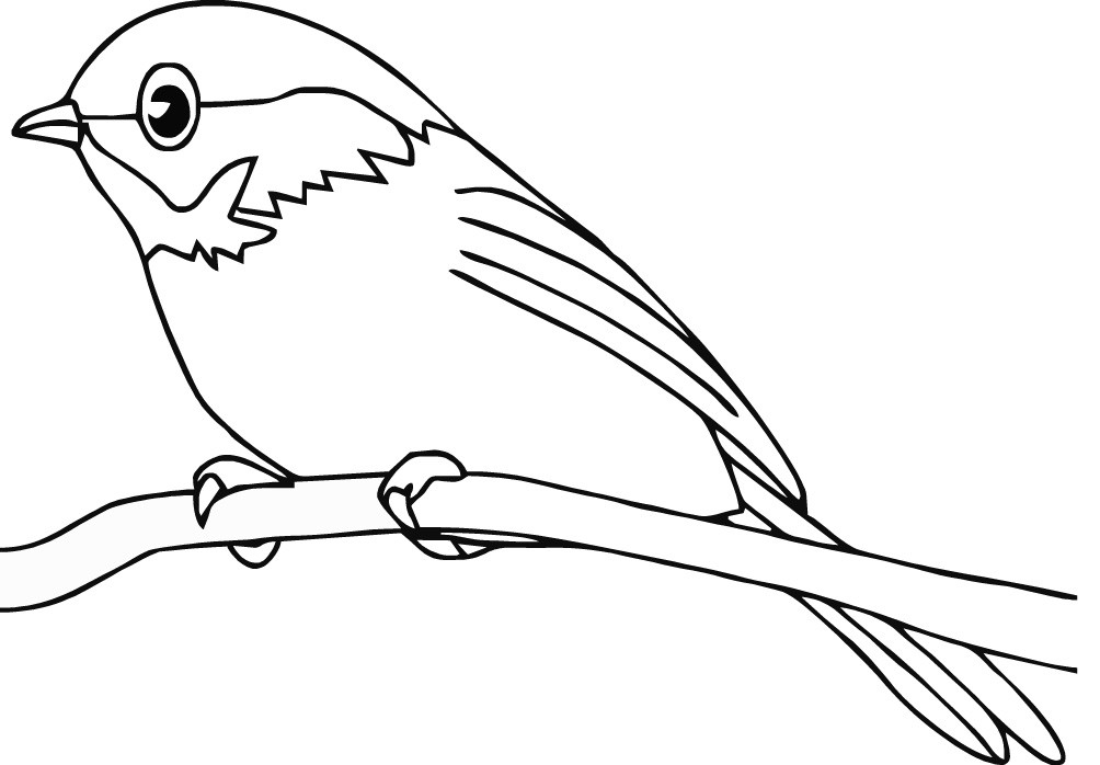 Free Coloring Sheets Of Birds
 Cute Bird Coloring Pages