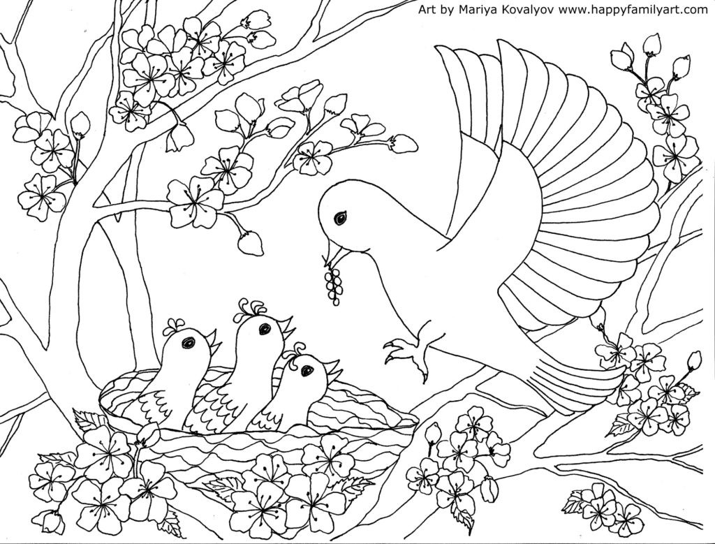 Free Coloring Sheets Of Birds
 Birds Coloring Page