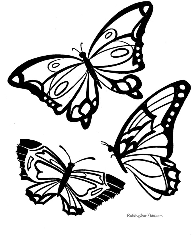 Free Coloring Sheets Of Butterflies
 Coloring Pages Butterfly