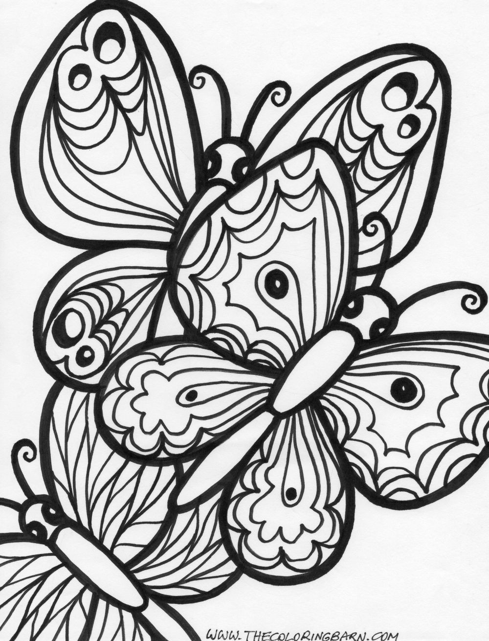 Free Coloring Sheets Of Butterflies
 Butterfly Coloring Pages Bestofcoloring