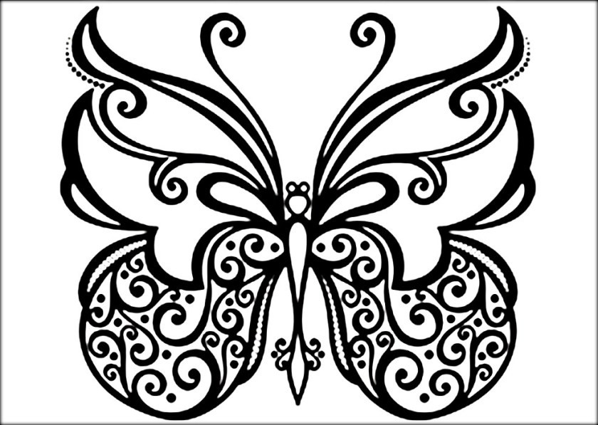 Free Coloring Sheets Of Butterflies
 Beautiful Butterfly Coloring Pages For Preschool Color Zini