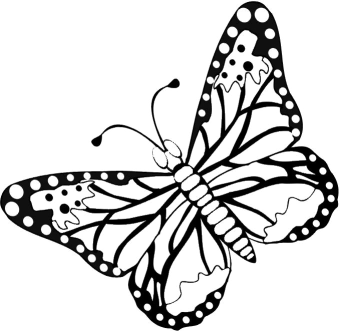 Free Coloring Sheets Of Butterflies
 FREE Butterfly Coloring Pages Flying Butterfly