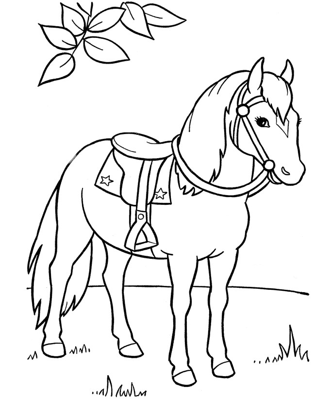 Free Coloring Sheets Of Horses
 Horse Coloring Pages Preschool and Kindergarten