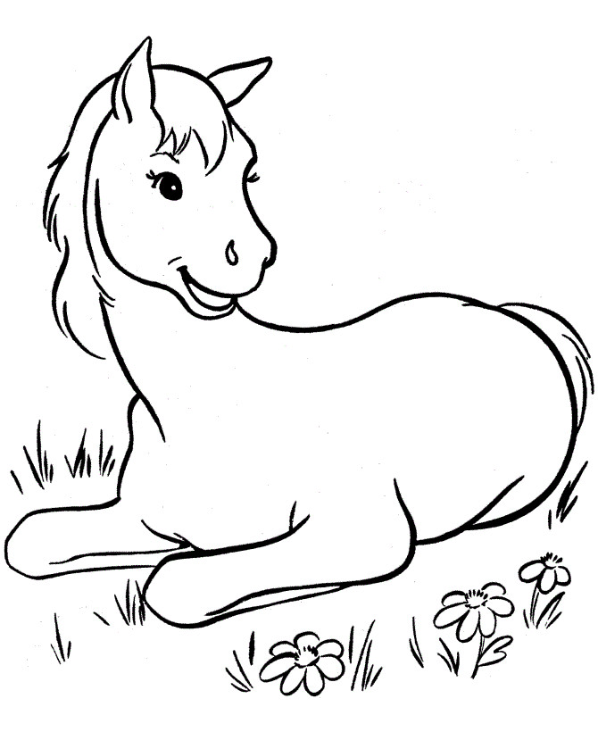 Free Coloring Sheets Of Horses
 Free Printable Horse Coloring Pages For Kids