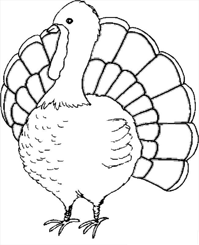 Best ideas about Free Coloring Sheets Thanksgiving Dance
. Save or Pin Free Printable Turkey Coloring Pages For Kids Now.