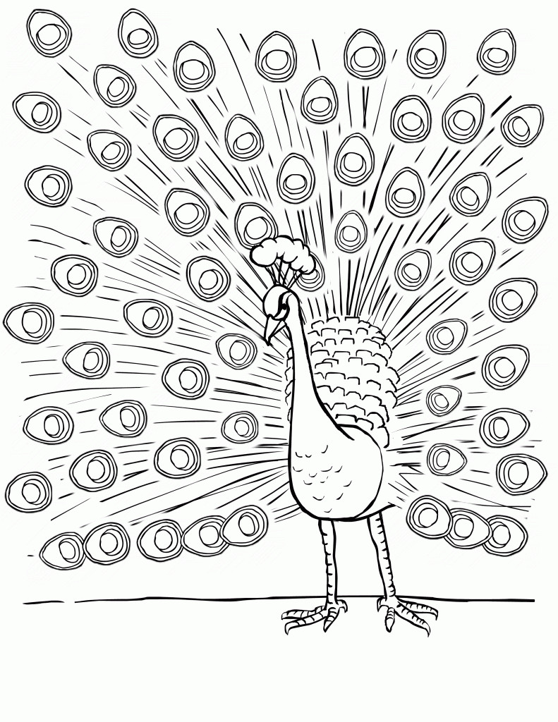 Free Coloring Sheets To Print
 Free Printable Peacock Coloring Pages For Kids