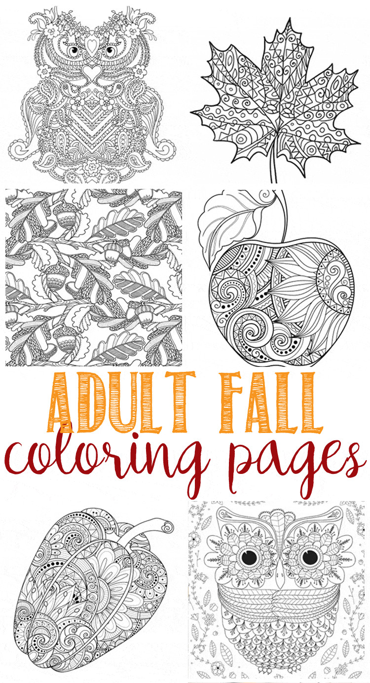 Free Fall Coloring Pages For Adults
 Fall Coloring Pages for Adults Domestically Speaking