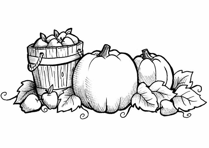 Free Fall Coloring Sheets
 Free Printable Fall Coloring Pages for Kids Best