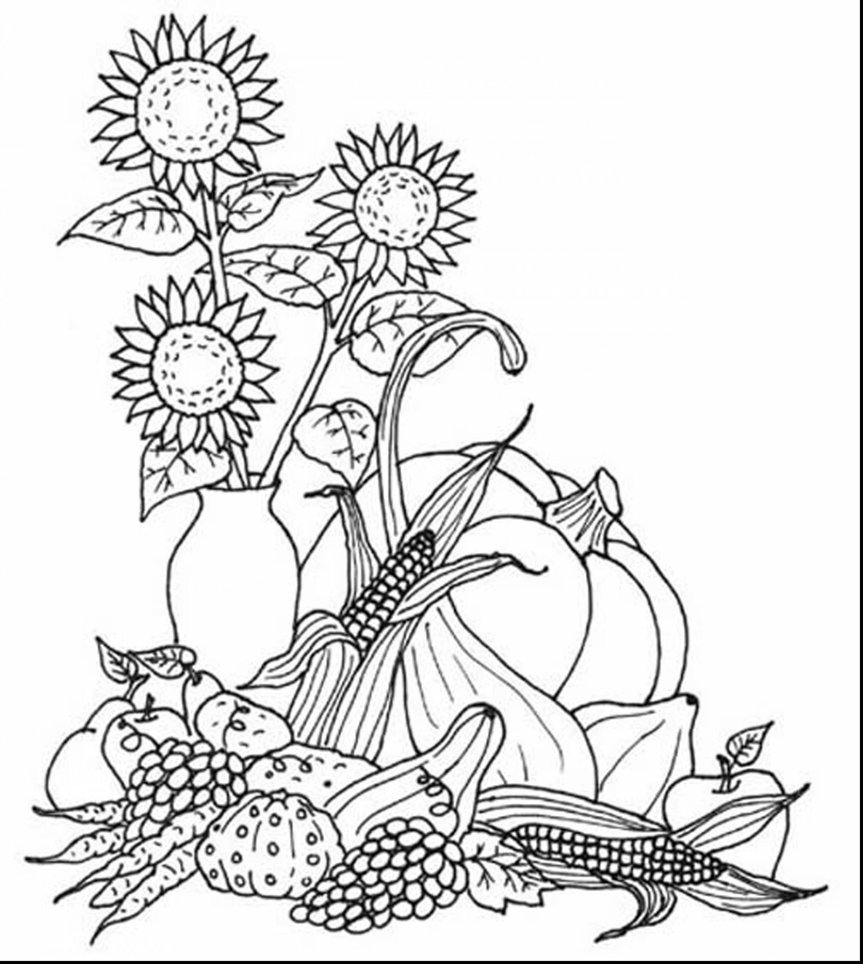 Free Fall Coloring Sheets
 Harvest Coloring Pages Printables