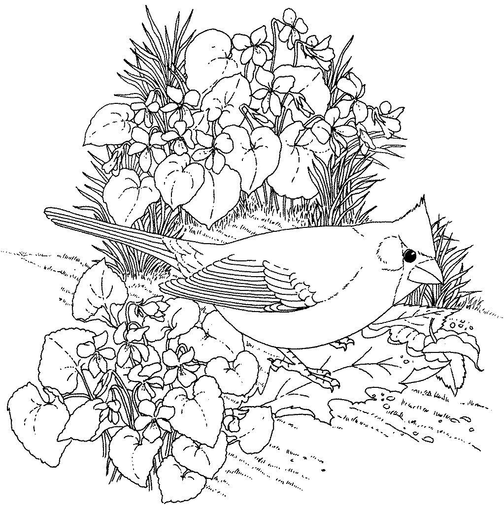 Free Flower Coloring Pages For Adults
 44 Awesome Free Printable Coloring Pages for Adults