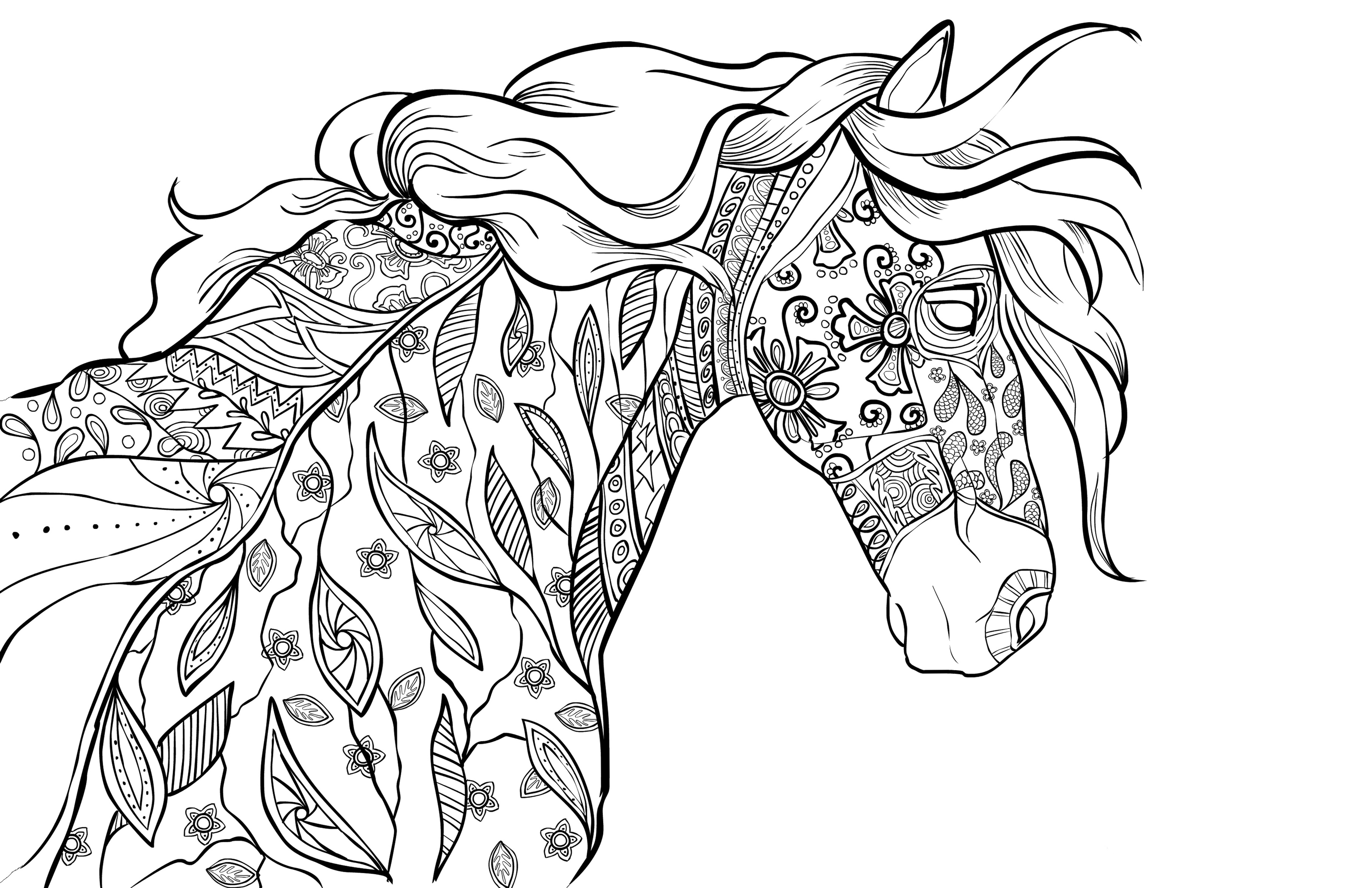Free Horse Coloring Pages For Adults
 Adult Coloring Book Page – Coloring For Grownups