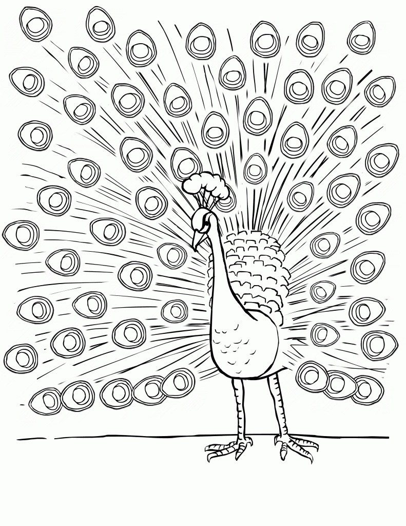Free Online Coloring Books
 Free Printable Peacock Coloring Pages For Kids
