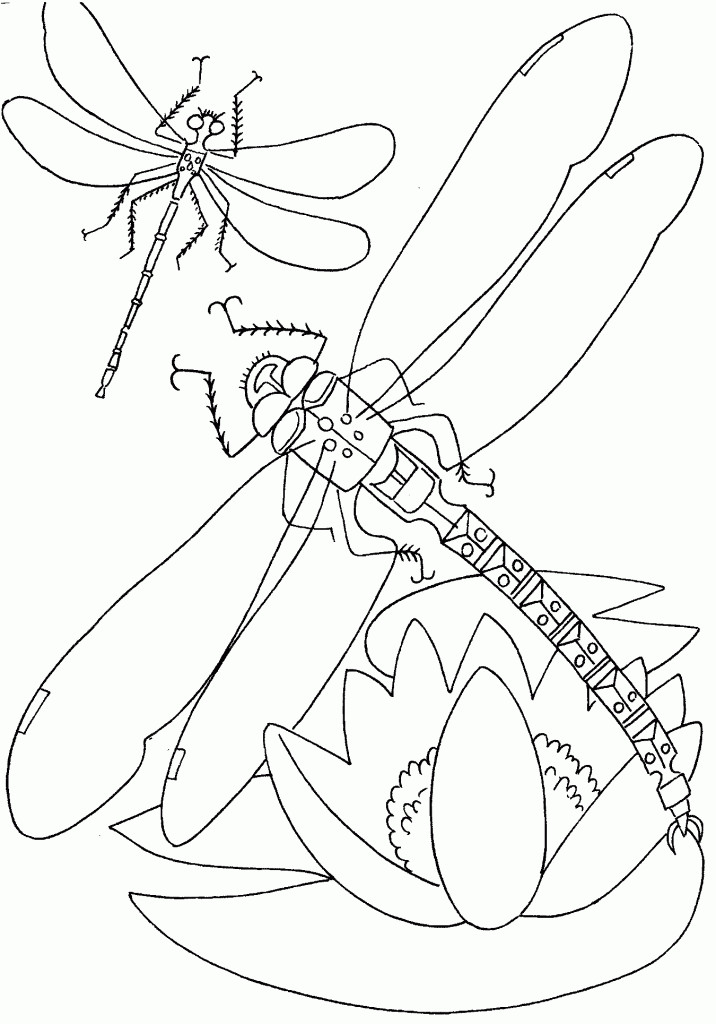 Free Online Coloring Books
 Free Printable Dragonfly Coloring Pages For Kids