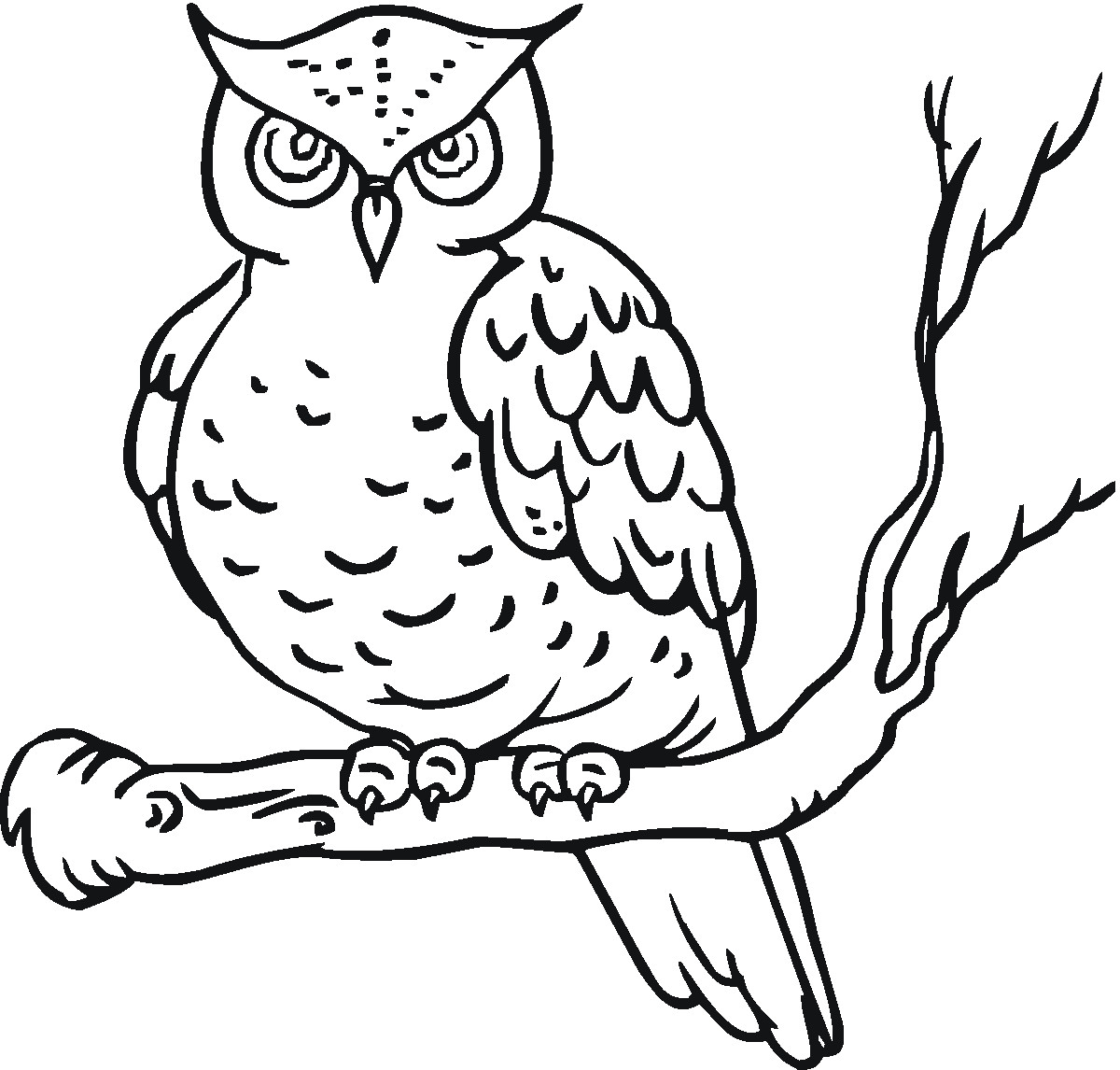 Free Owl Coloring Pages
 Free Printable Owl Coloring Pages For Kids