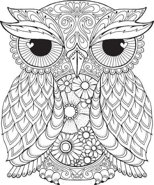 Free Owl Coloring Pages For Adults
 Pin by Shreya Thakur on Free Coloring Pages