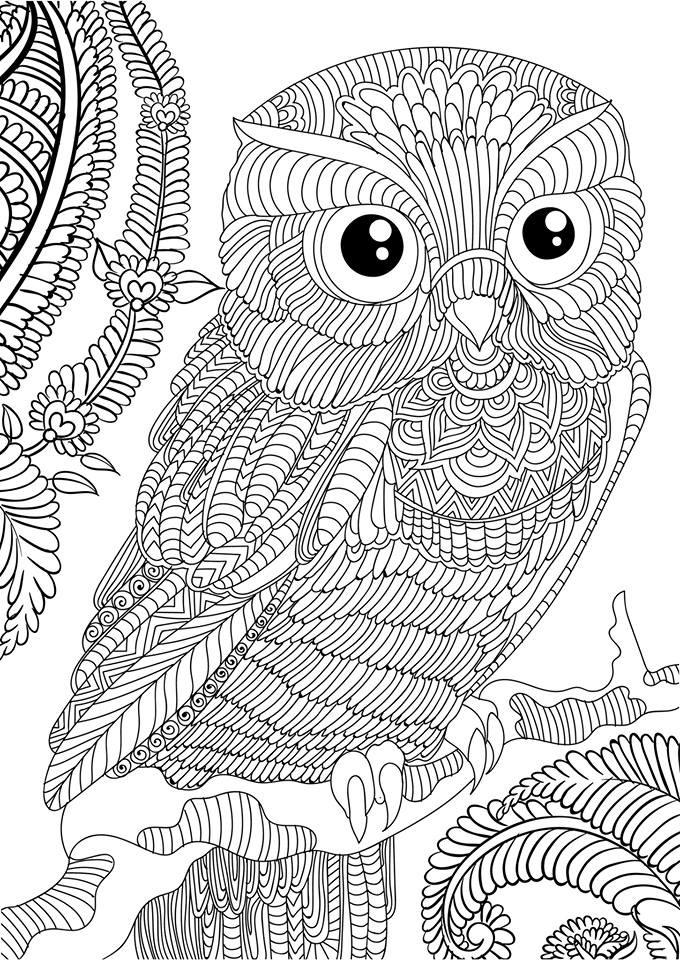 Free Owl Coloring Pages For Adults
 Owl Coloring Pages for Adults Realistic and Hard to Color