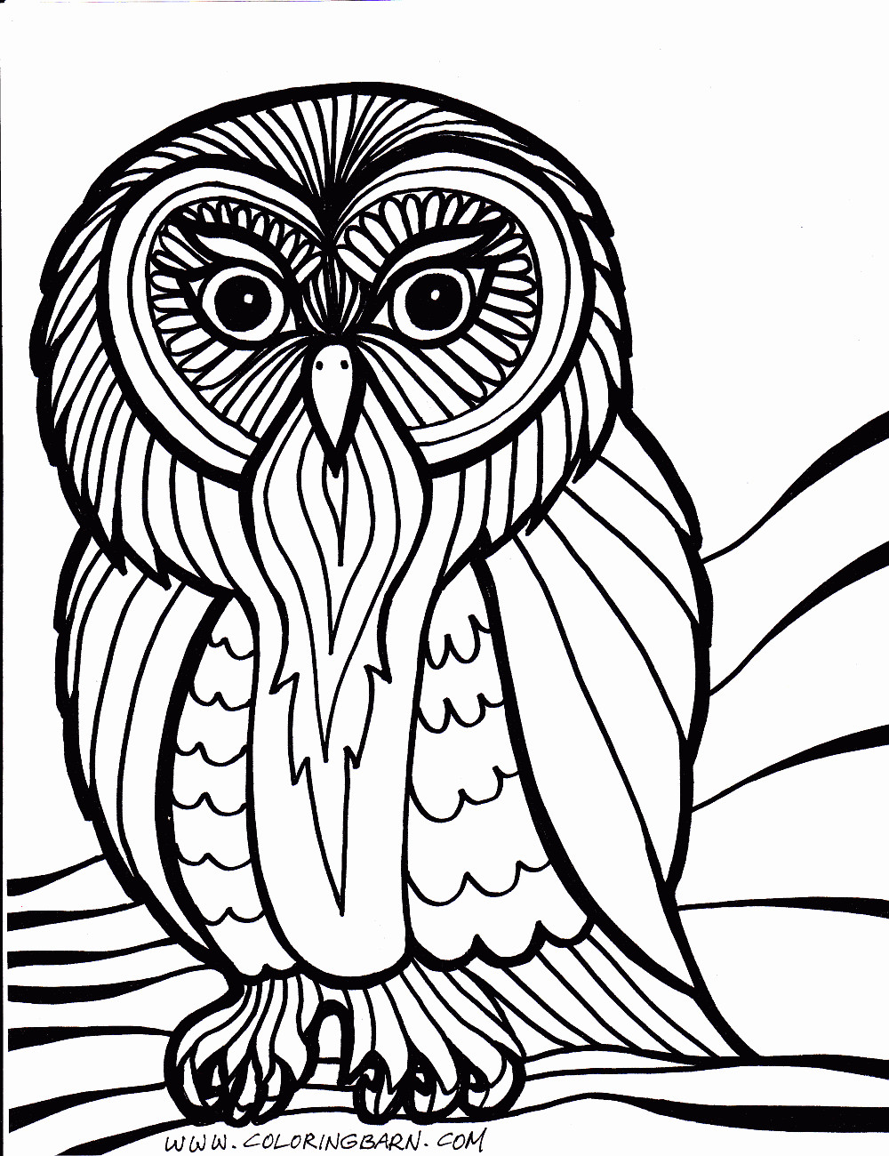 Free Owl Coloring Pages For Adults
 owl coloring pages for adults