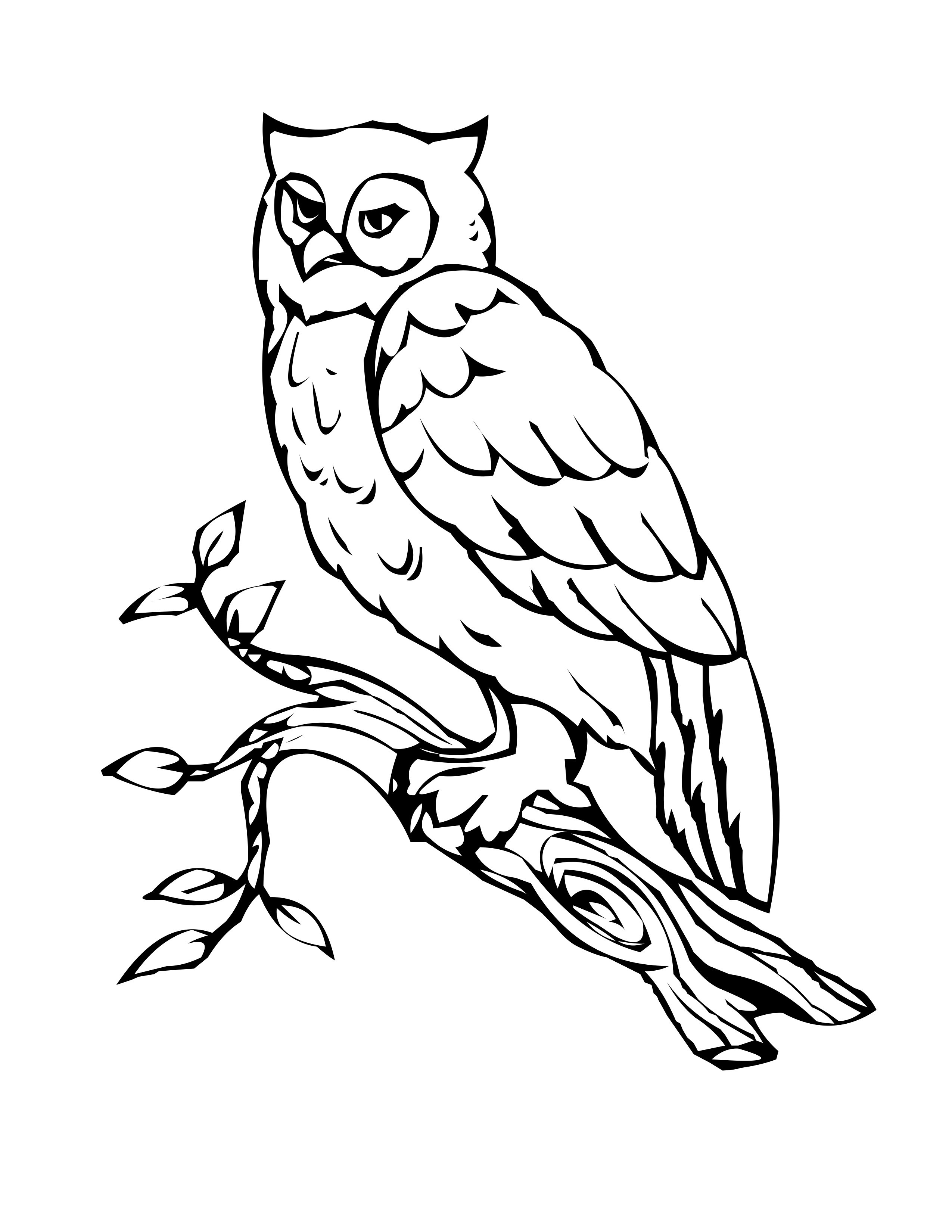 Free Owl Coloring Pages
 Free Printable Owl Coloring Pages For Kids