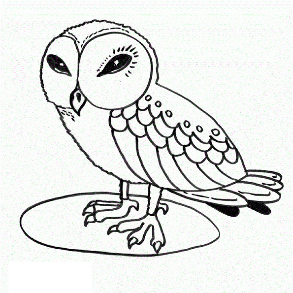 Free Owl Coloring Pages
 Free Printable Owl Coloring Pages For Kids