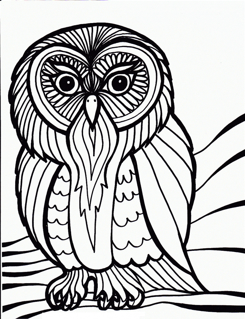 Free Owl Coloring Pages
 Free Printable Owl Coloring Pages For Kids