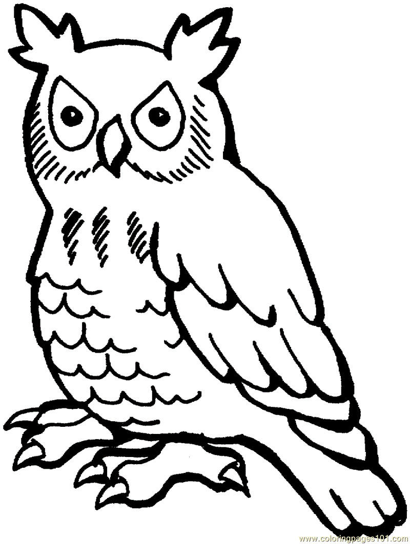 Free Owl Coloring Pages
 Free Printable Owl Coloring Pages For Kids