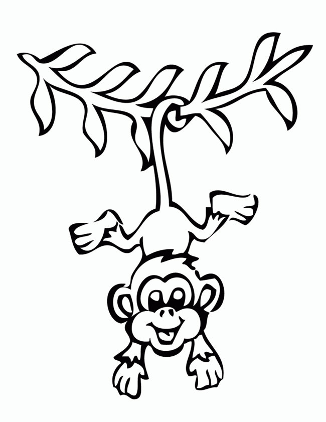 Free Preschool Coloring Sheets Of Monkeys
 Monkey Template Animal Templates