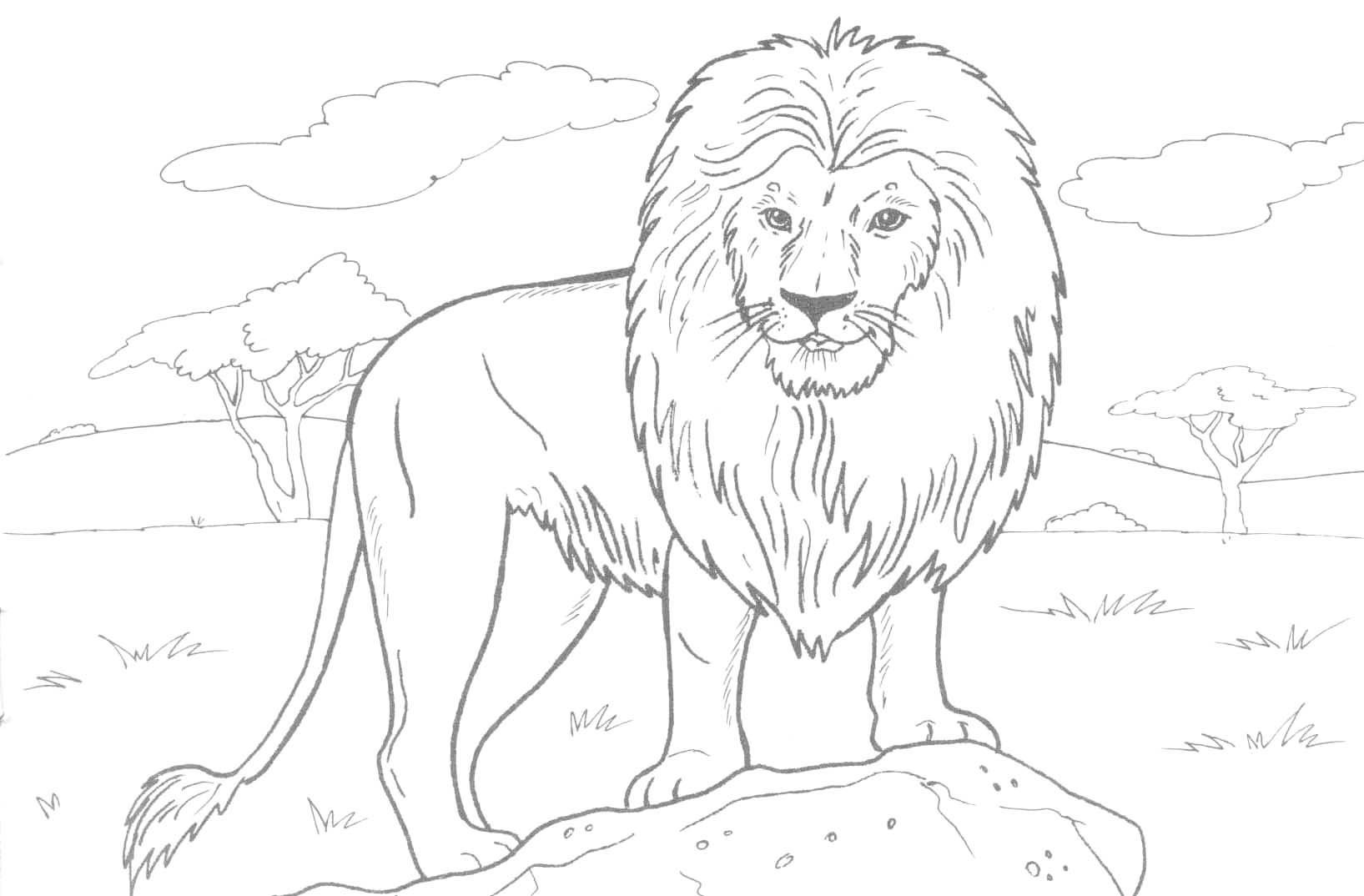 Free Printable Animal Coloring Pages
 Free Printable Lion Coloring Pages For Kids