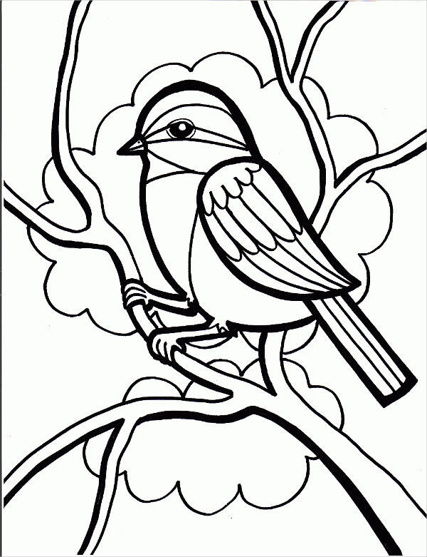 Free Printable Bird Coloring Pages
 8 Bird Coloring Pages JPG AI Illustrator Download