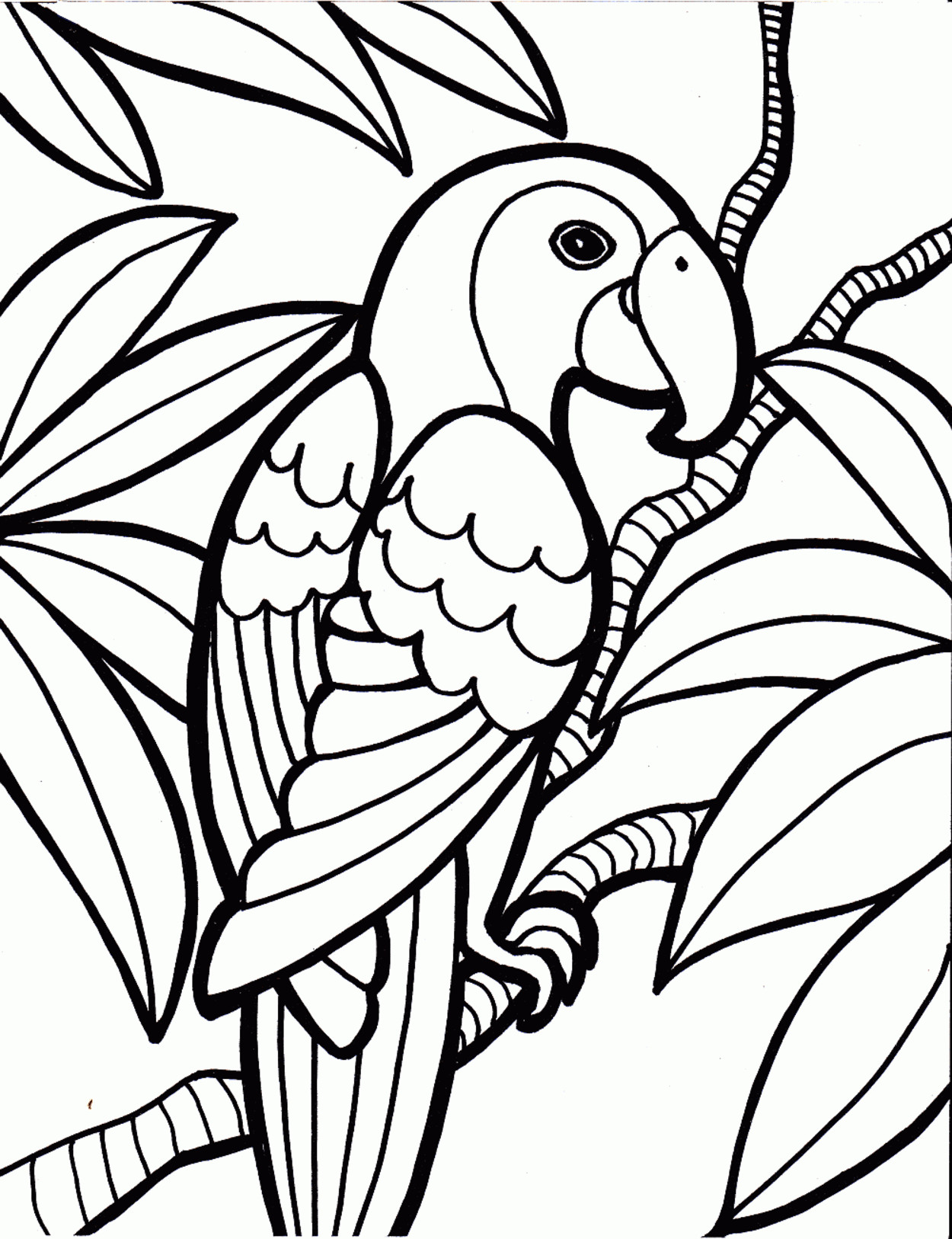 Free Printable Bird Coloring Pages
 Bird Coloring Page With Free Bird Coloring Pages