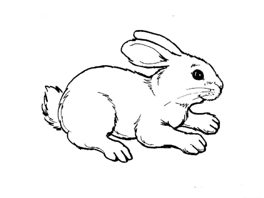Best ideas about Free Printable Coloring Pages Animals
. Save or Pin 61 Best Free Animal Coloring Pages Gianfreda Now.