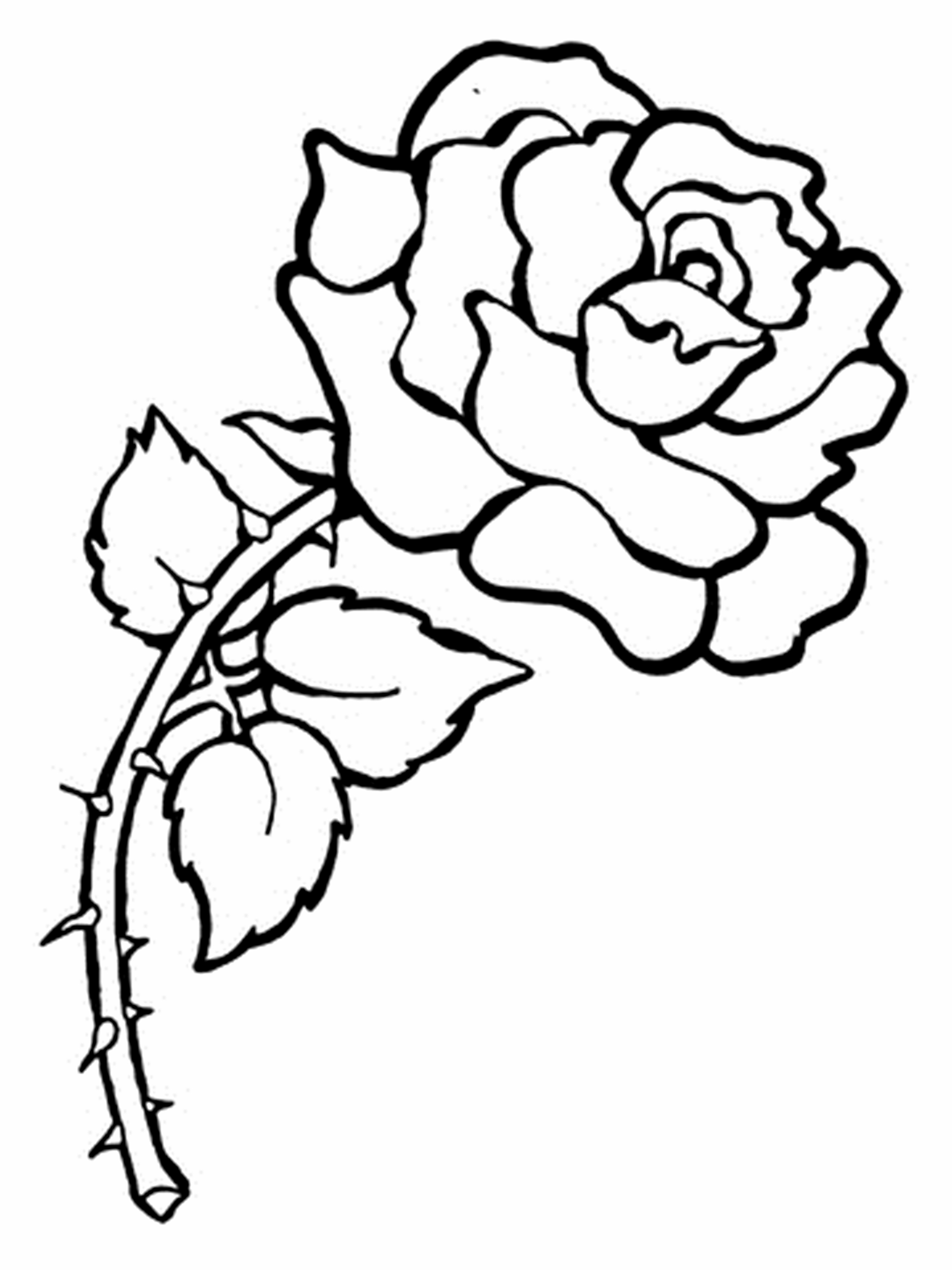 Free Printable Coloring Pages Of Flowers For Kids
 Free Printable Flower Coloring Pages For Kids Best