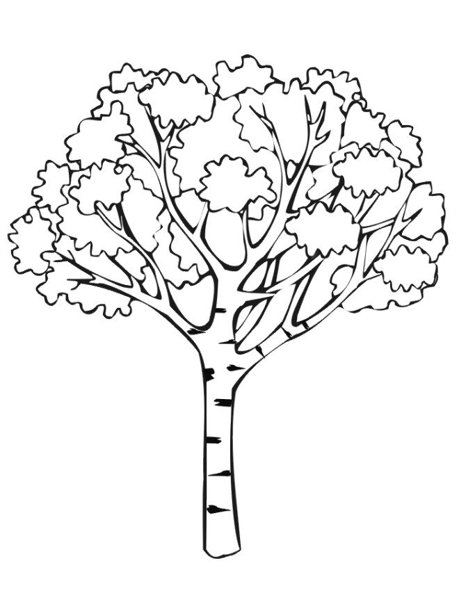 Free Printable Coloring Pages Trees
 Free Printable Tree Coloring Pages For Kids