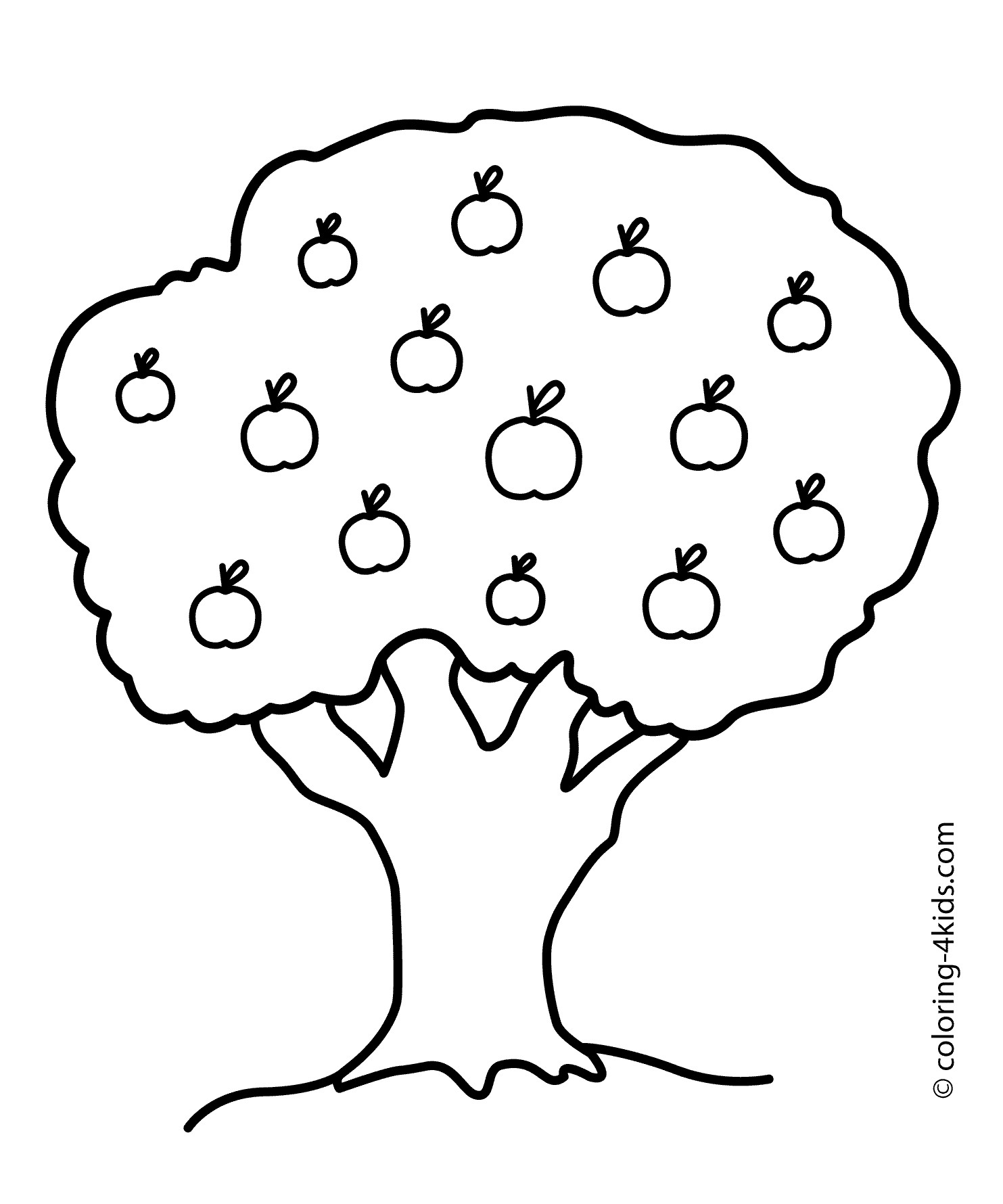 Free Printable Coloring Pages Trees
 26 tree coloring page to print Print Color Craft