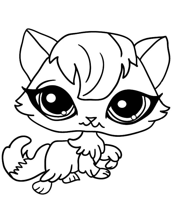 Best ideas about Free Printable Coloring Sheets Of Baby Animals With Big Eyes And Are Kittens
. Save or Pin Big Eyed Female Cat for Pet Coloring Page Now.